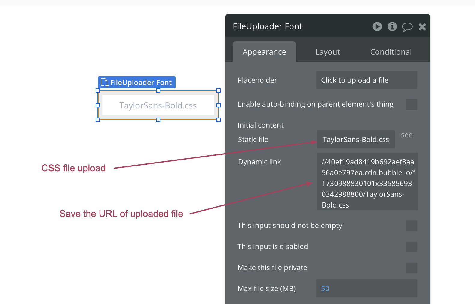 Screenshot showing a file upload interface for a CSS file named "TaylorSans-Bold.css" with instructions to upload the file and save its URL. The interface includes settings for appearance, layout, and conditions.