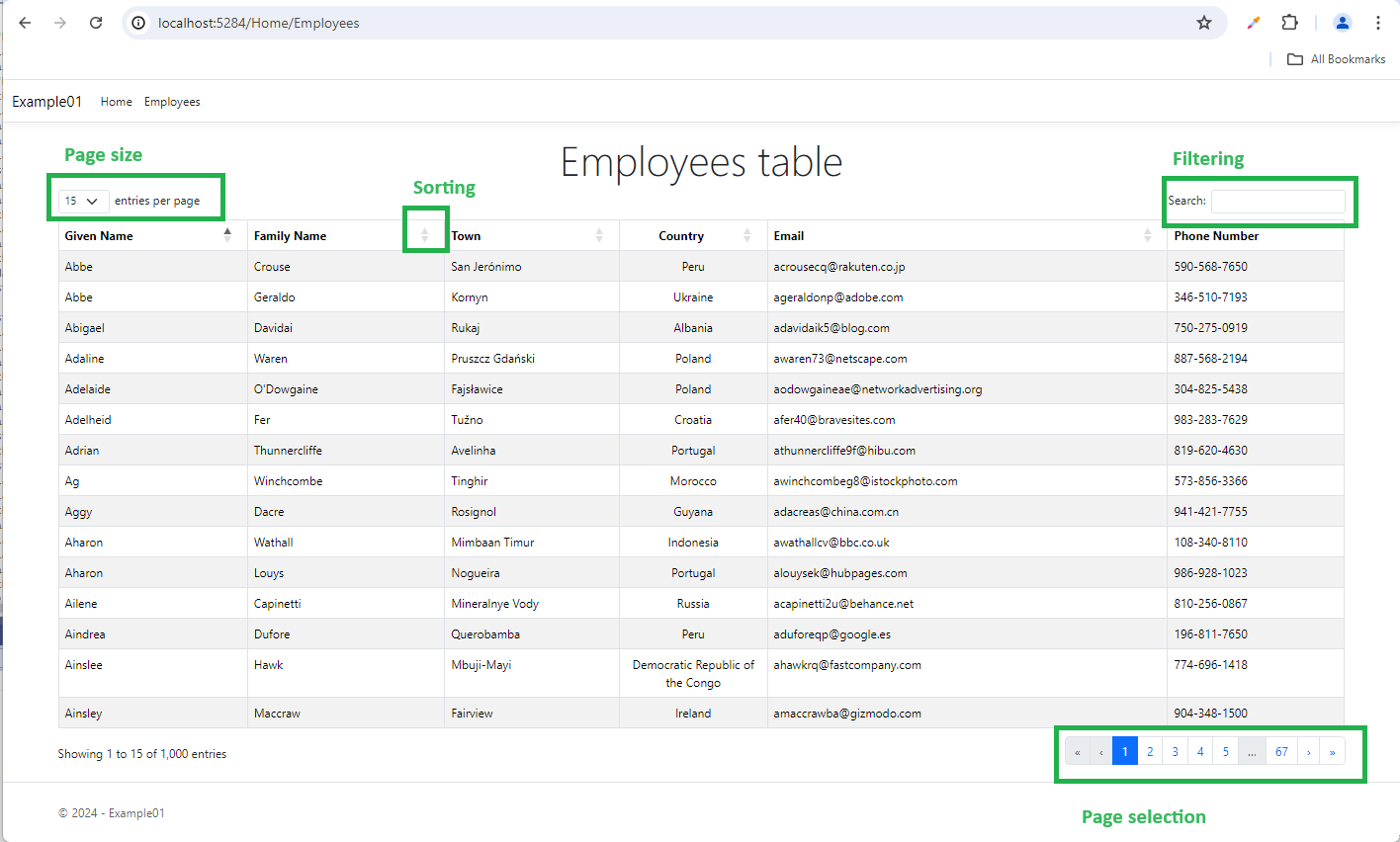 ASP.NET8 using DataTables.net – Part1 – Foundation