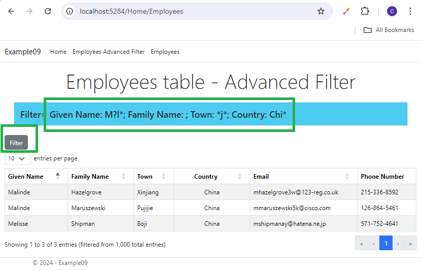 ASP.NET8 using DataTables.net – Part9 – Advanced Filters