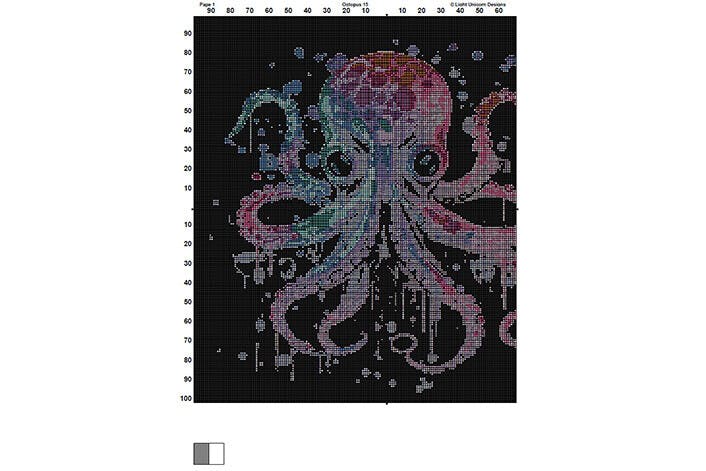 Framed Octopus Design