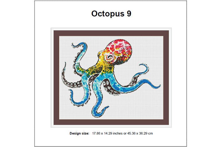 Colorful Octopus Design