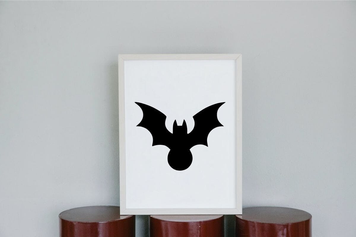 Bat Silhouettes Overview