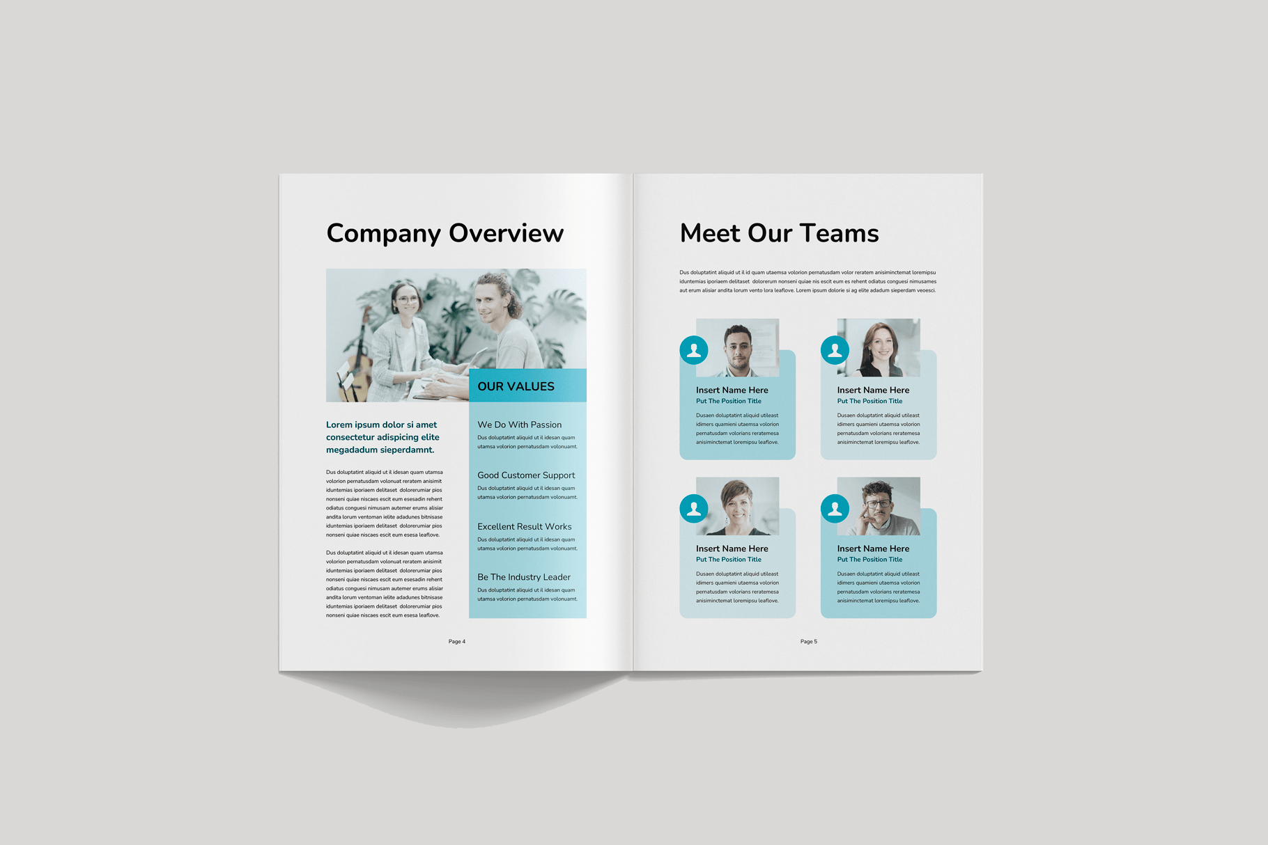 Sales Proposal Layout