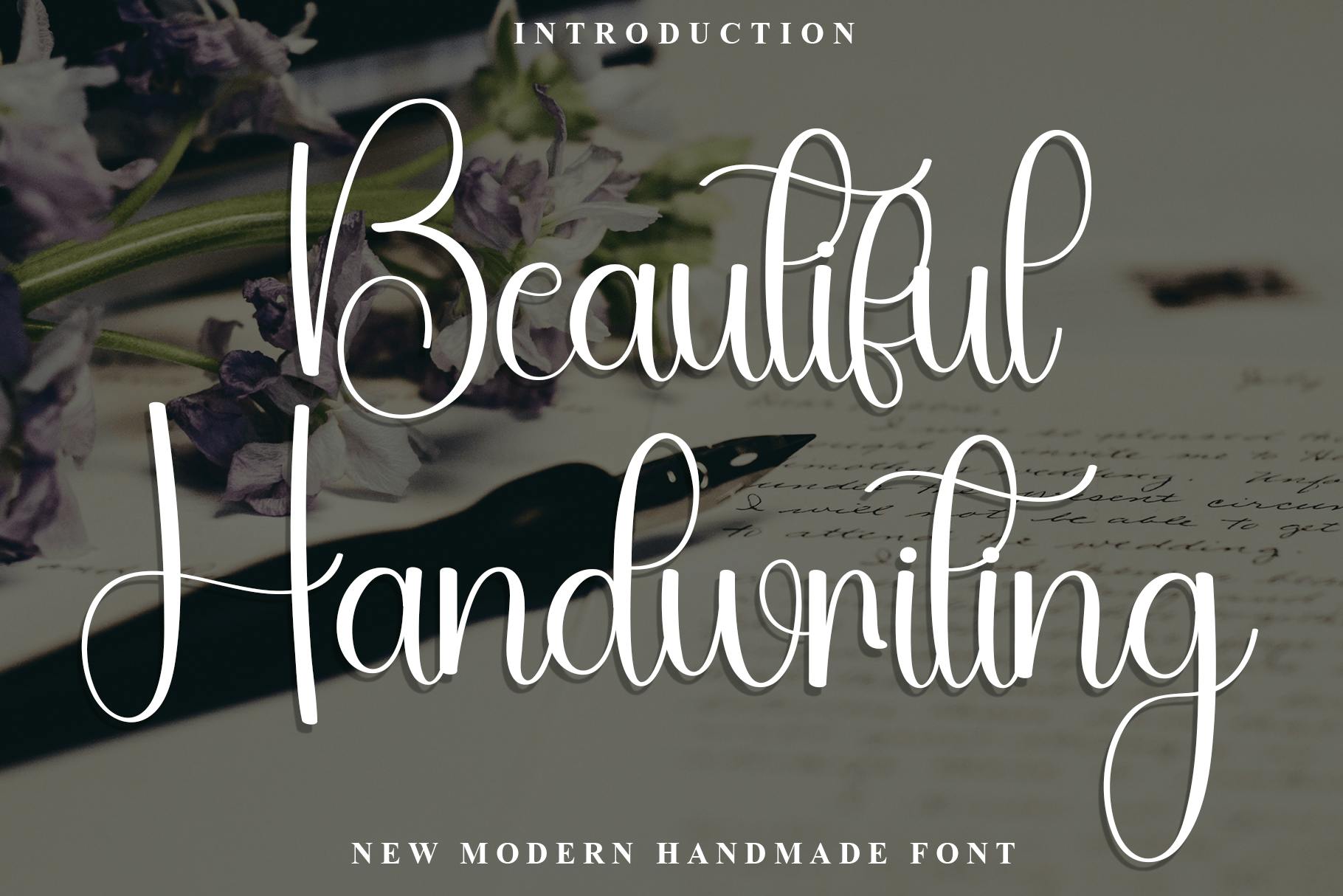 Beautiful Handwriting Font Example