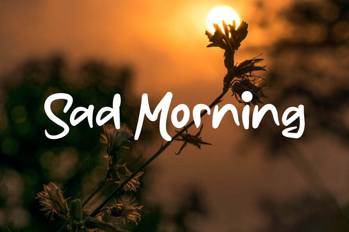 Sad Morning Font Example 9