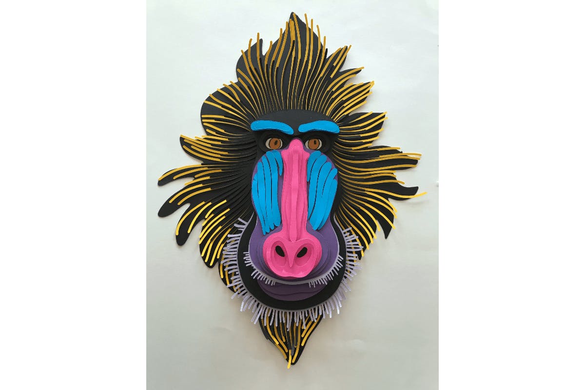 Baboon Wall Art