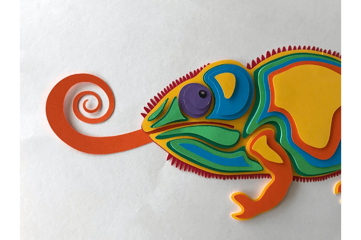 Layered Design of the Chameleon