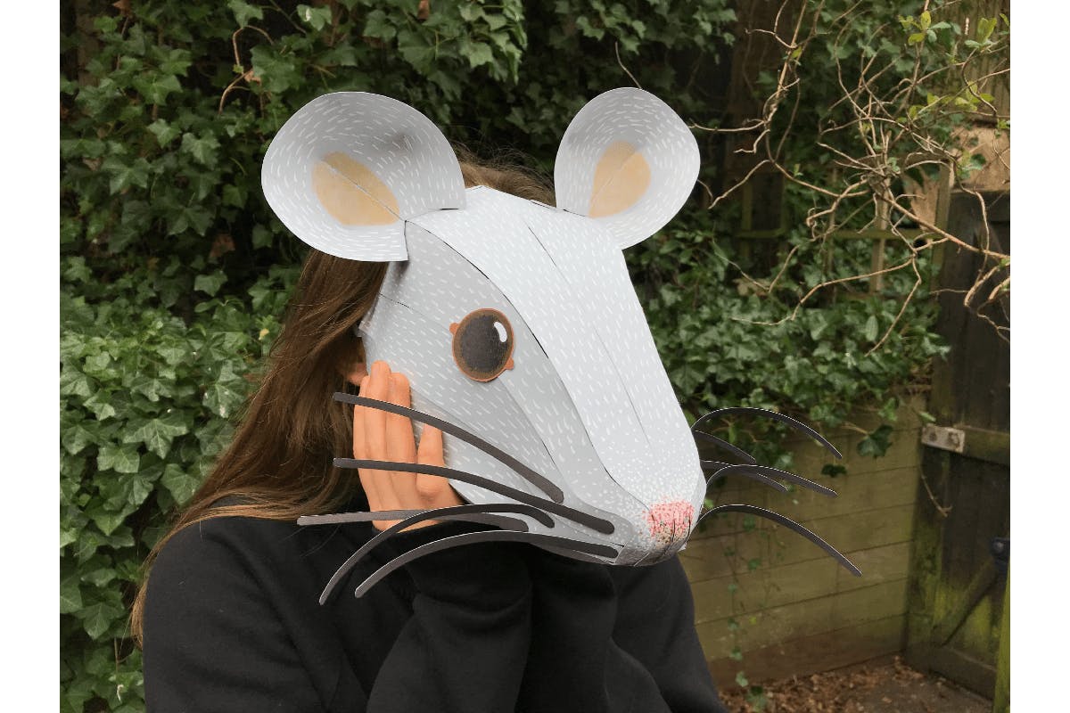 Mouse Mask