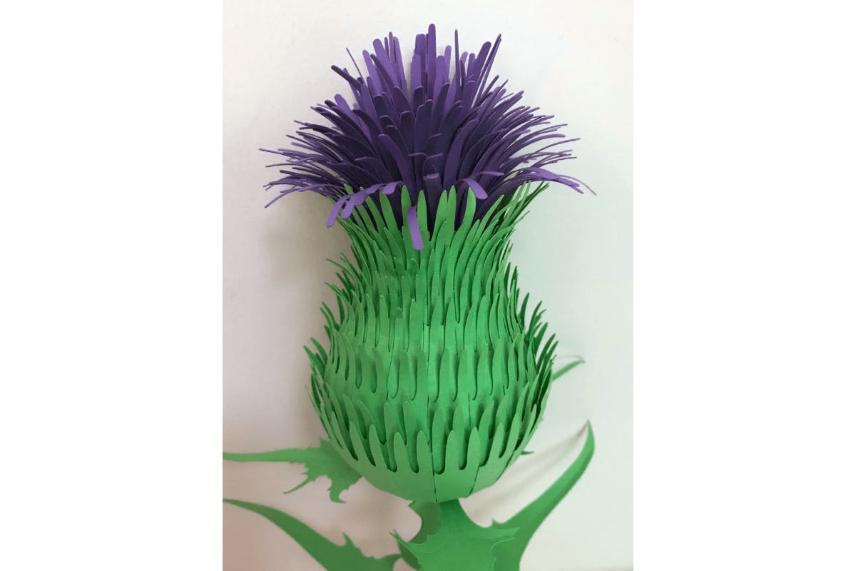 The Completed Paper Thistle