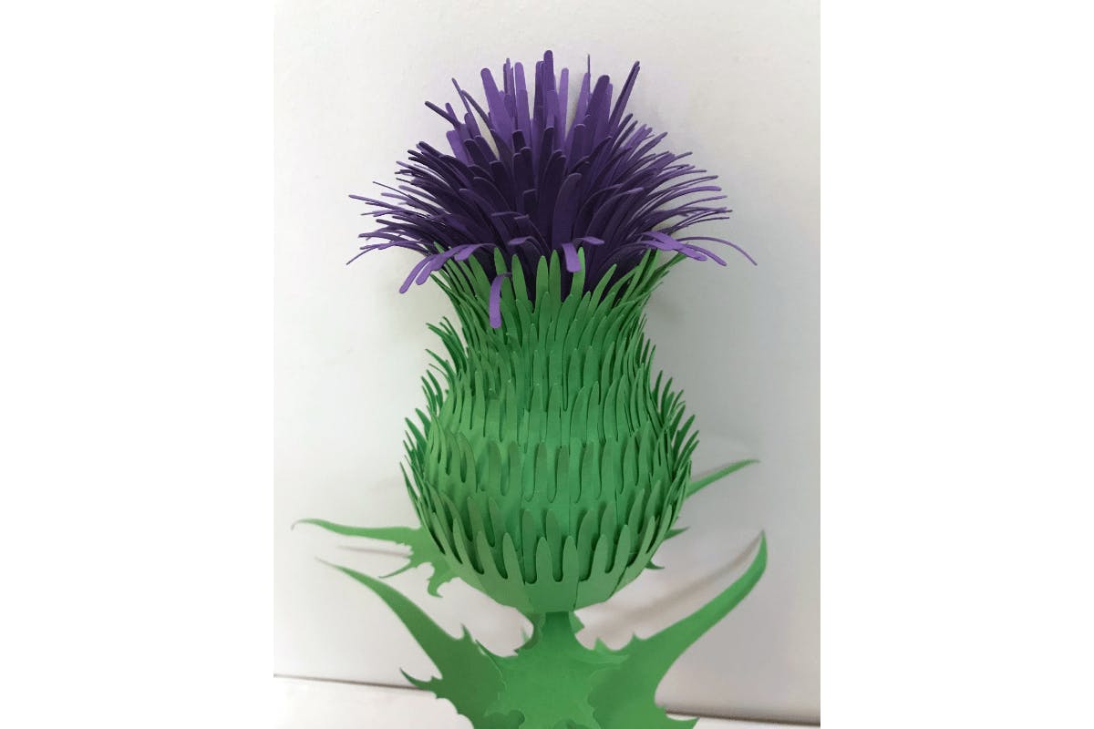 Thistle Crafting Kit Example