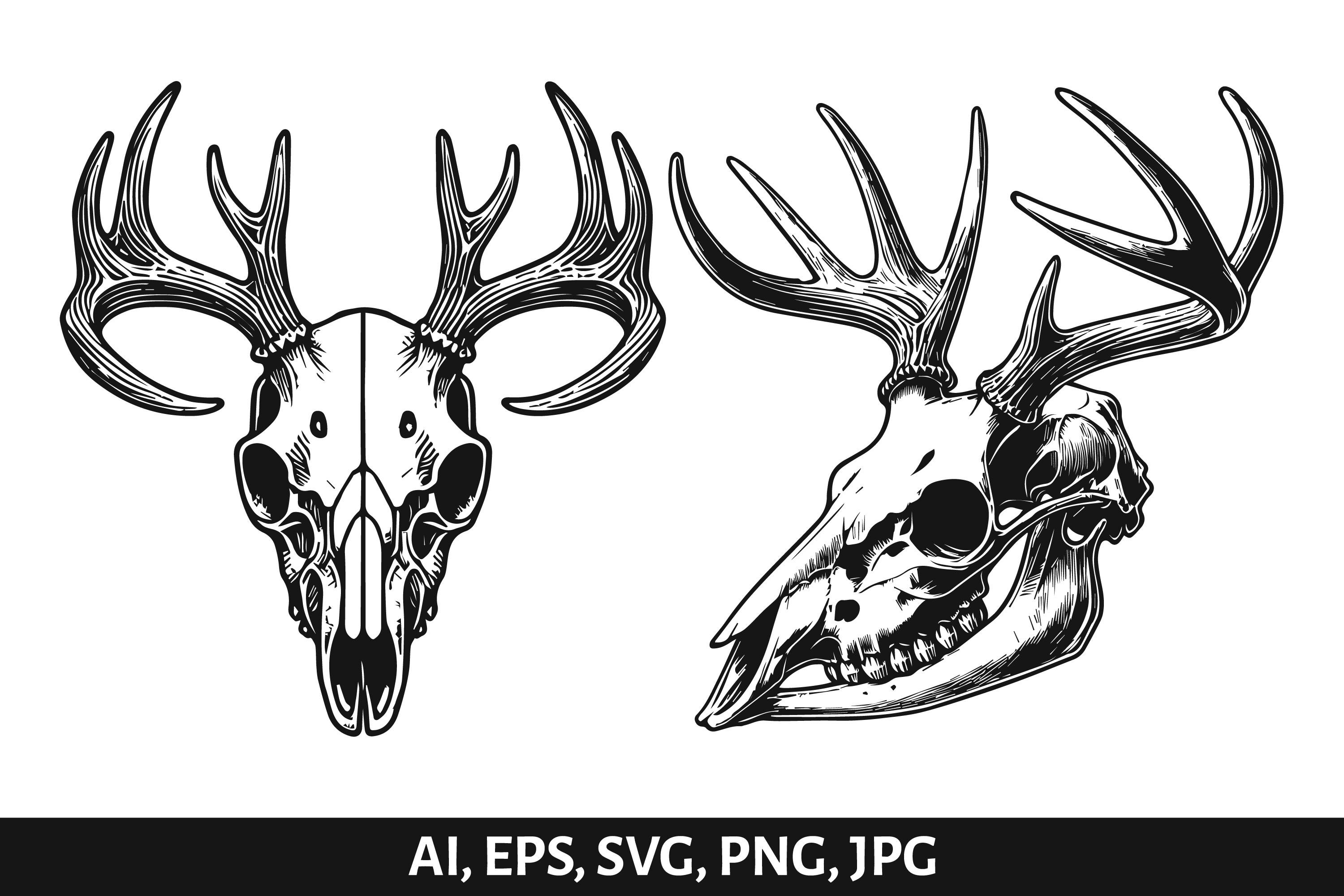 Deer Skull Vector Illustration