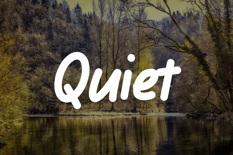 Elevate Your Designs with the Essential Quiet Font