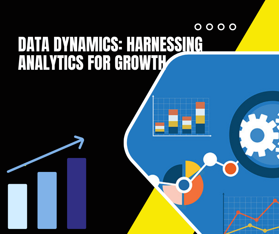 Data Dynamics: Harnessing Analytics for Growth