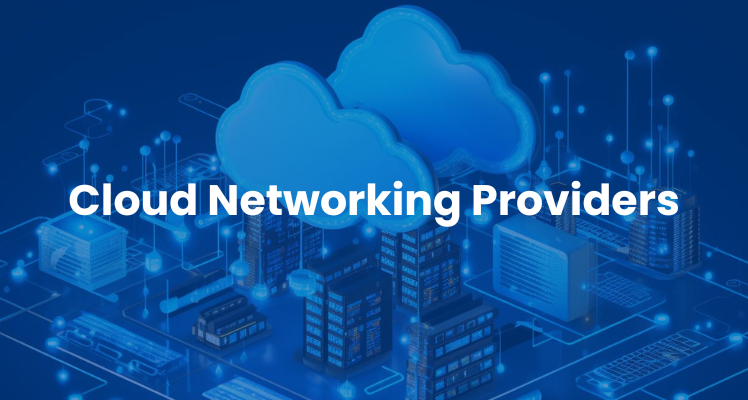 Simplifying Cloud Networking Setup: A Guide for Indian Businesses