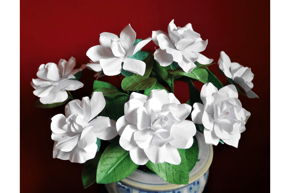 Gardenia Free