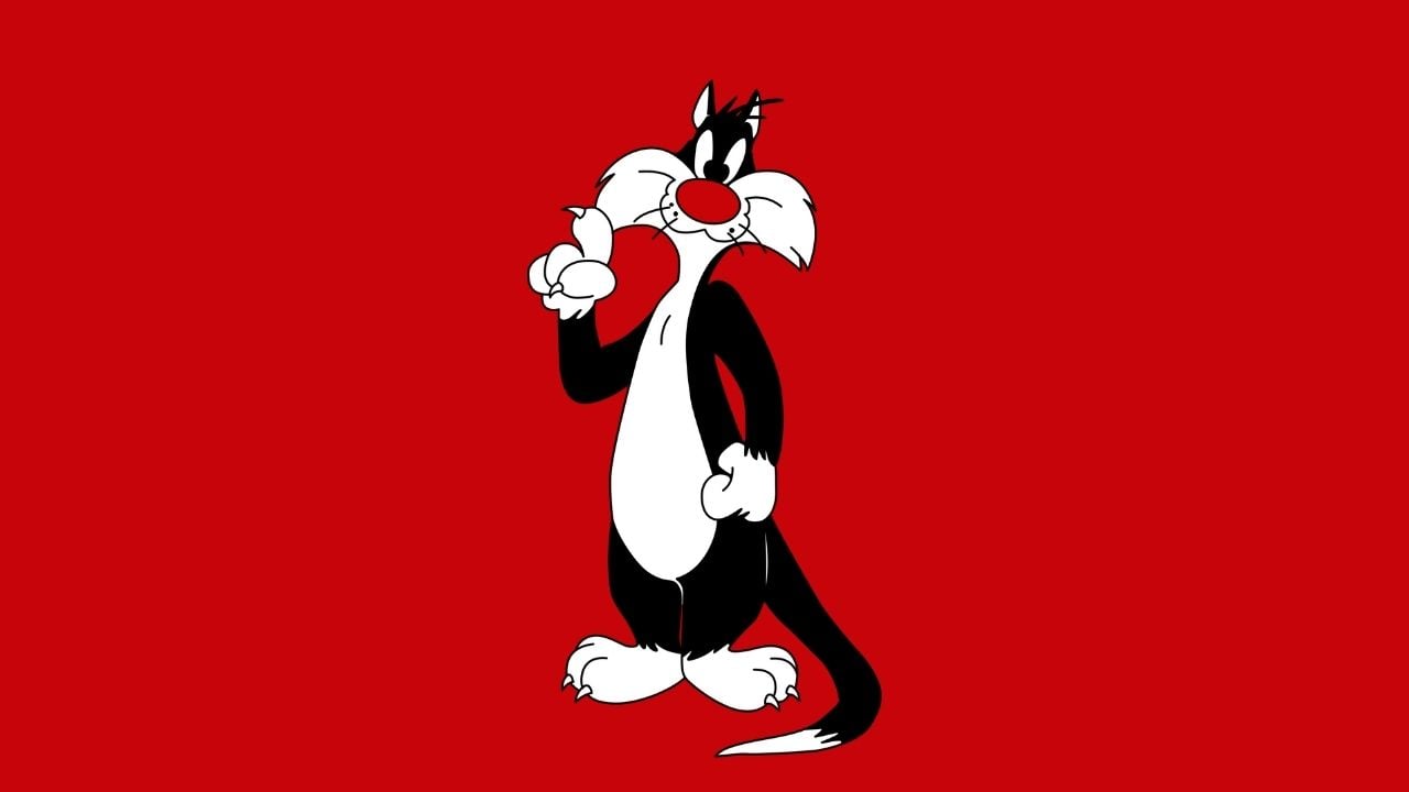 kedi Sylvester