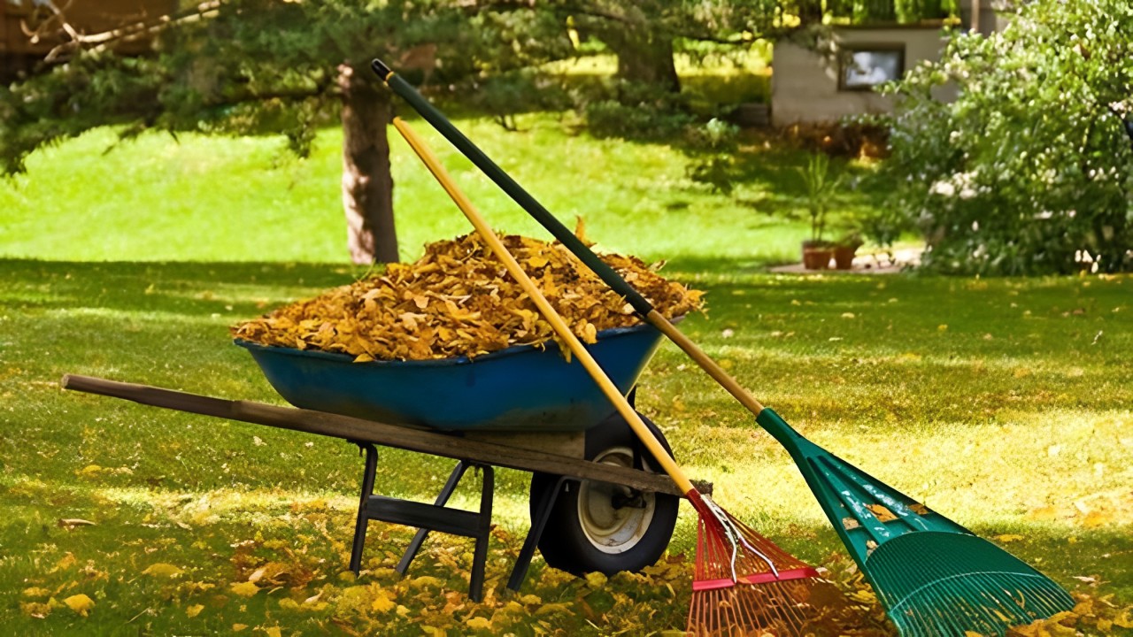 How to Schedule Your Fall Yard Clean-Up Services?