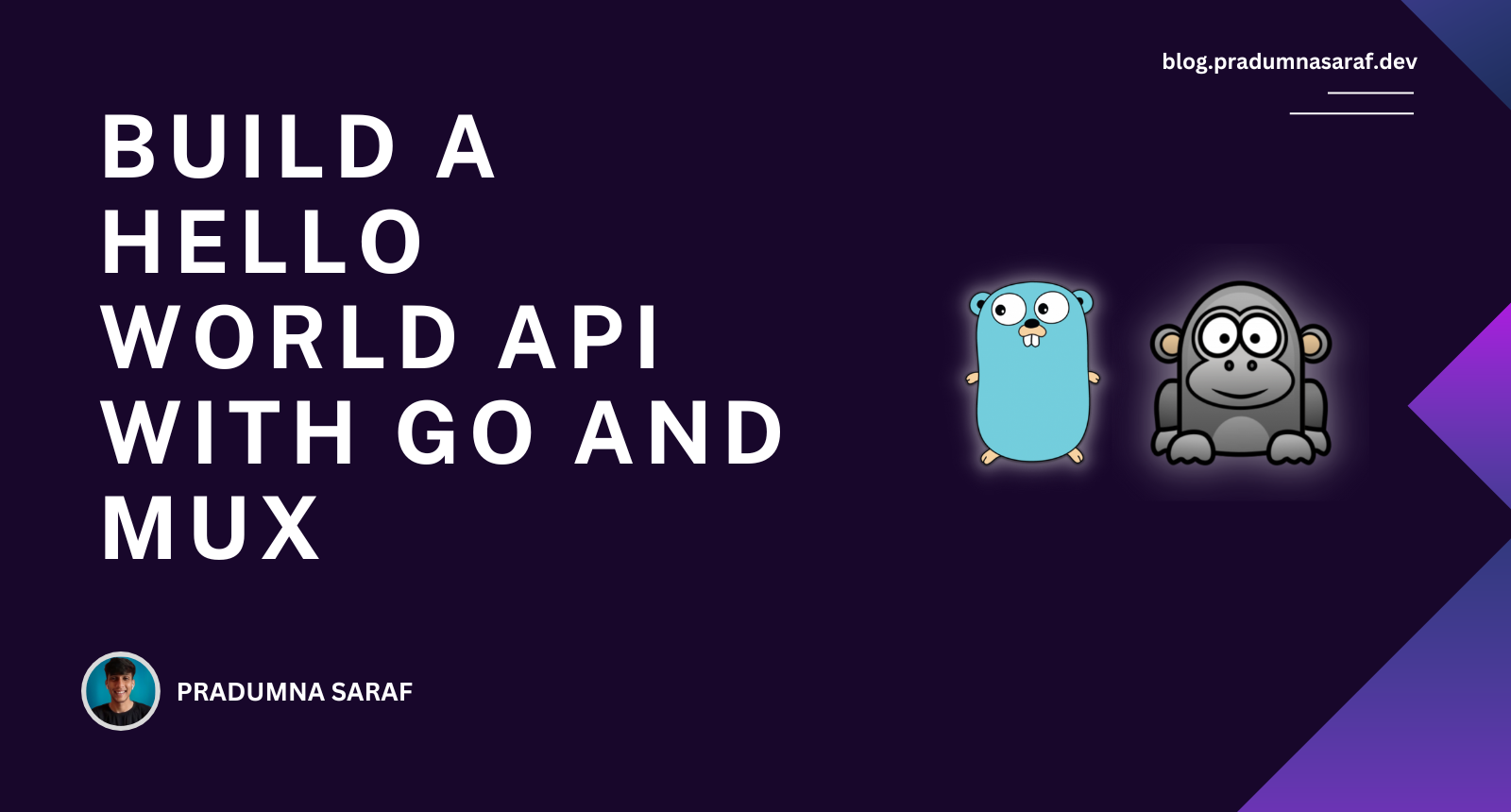 Build a Hello World API with Go and Mux