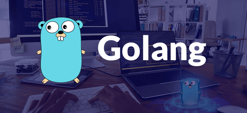 Why Go (Golang) is Rising in Popularity Among Developers