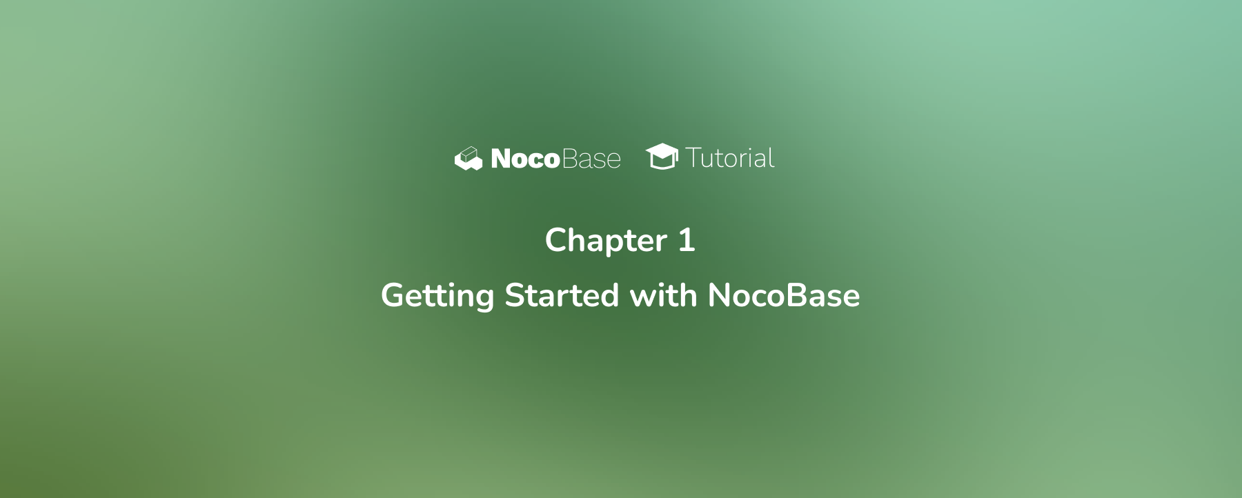 [Tutorial] Chapter 1: Getting Started with NocoBase