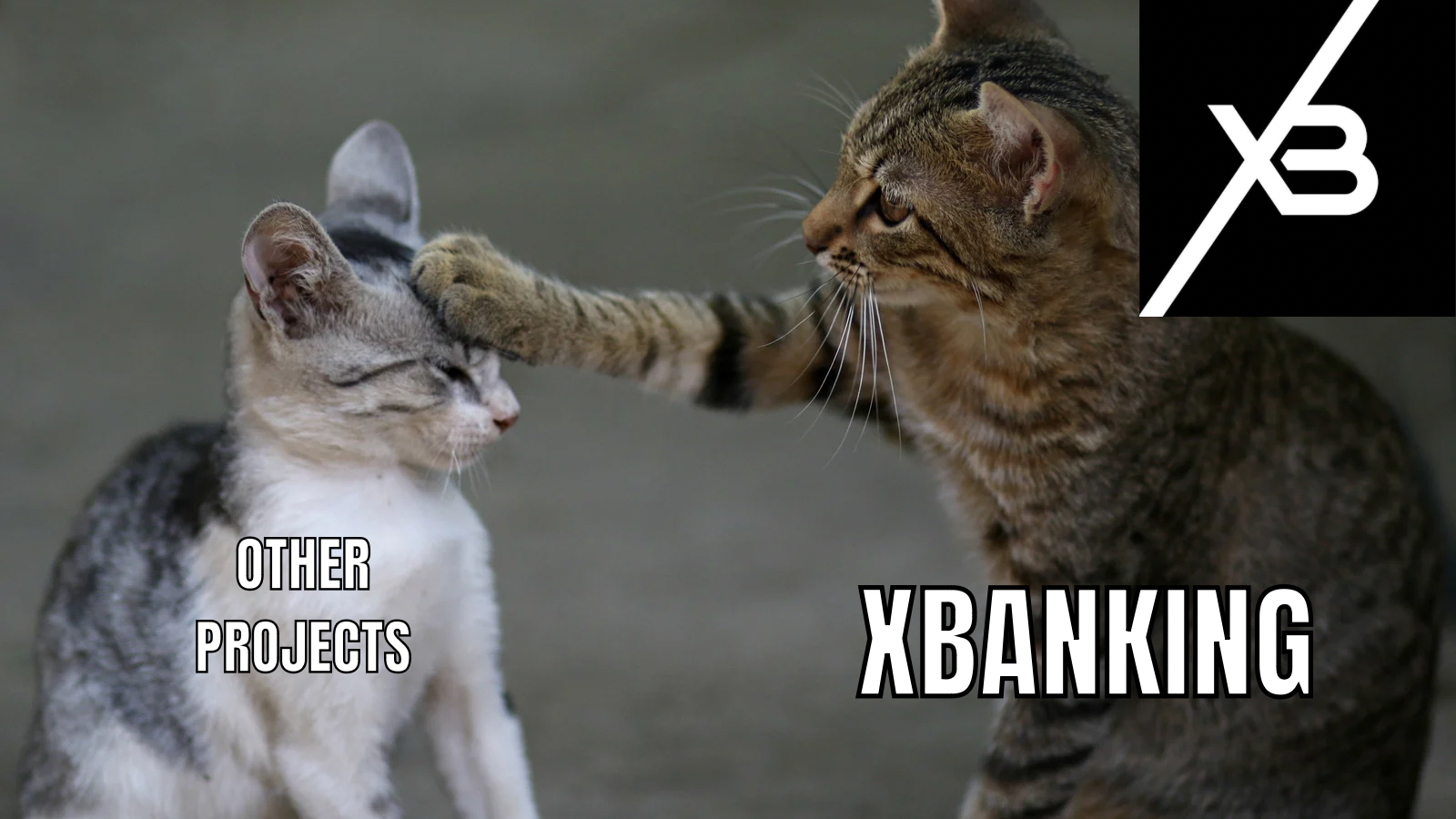 Why XBanking Stands Out in the World of Digital Finance