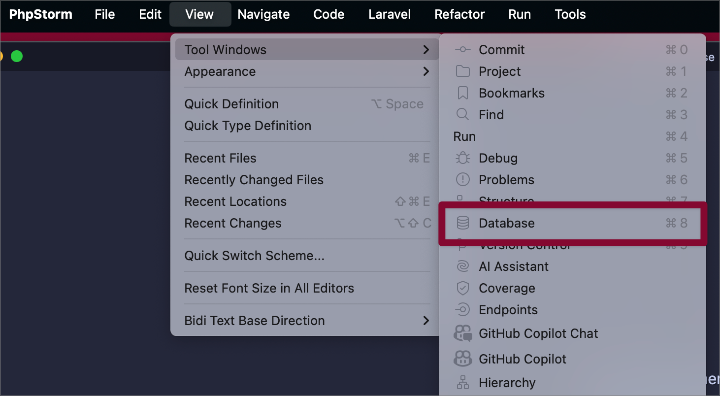 Access PhpStorm database tools