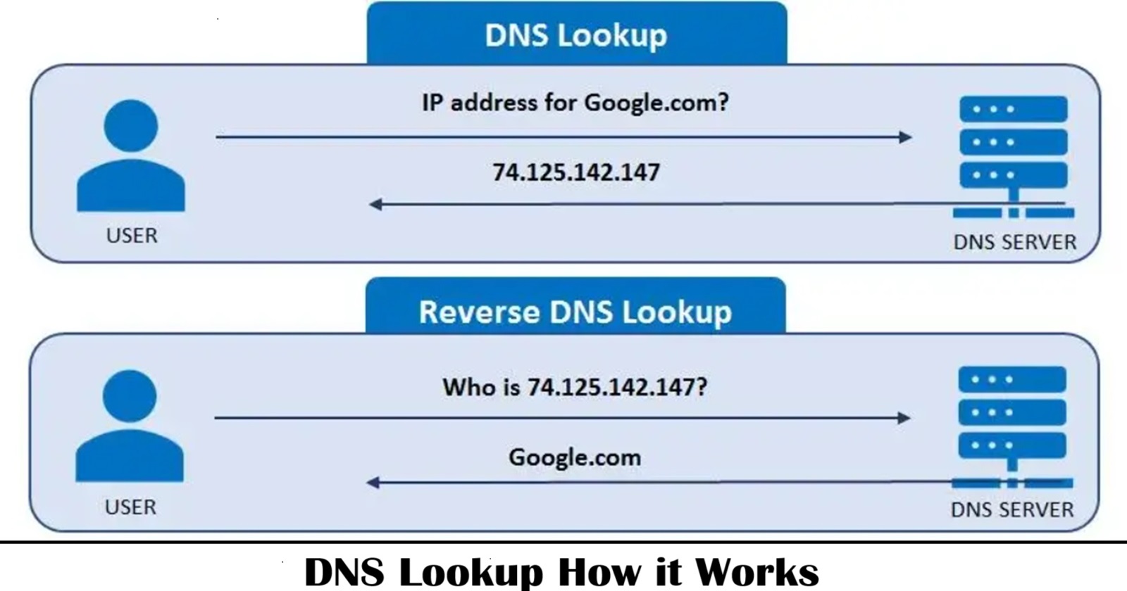 DNS Lookup Mastery: A Comprehensive Guide to Network Exploration 🌐🔍