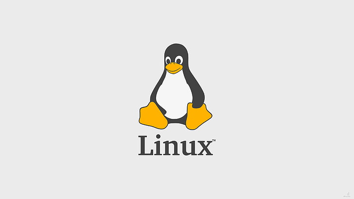 Essential Linux Commands