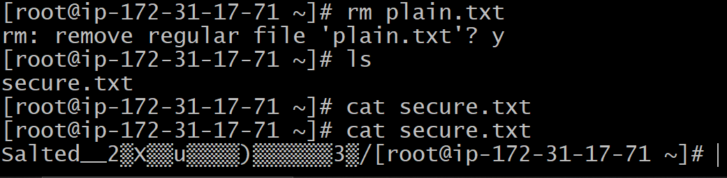 Removing plain.txt file as it is not secure to put a password file in the system.