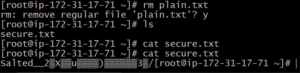 Removing plain.txt file as it is not secure to put a password file in the system.