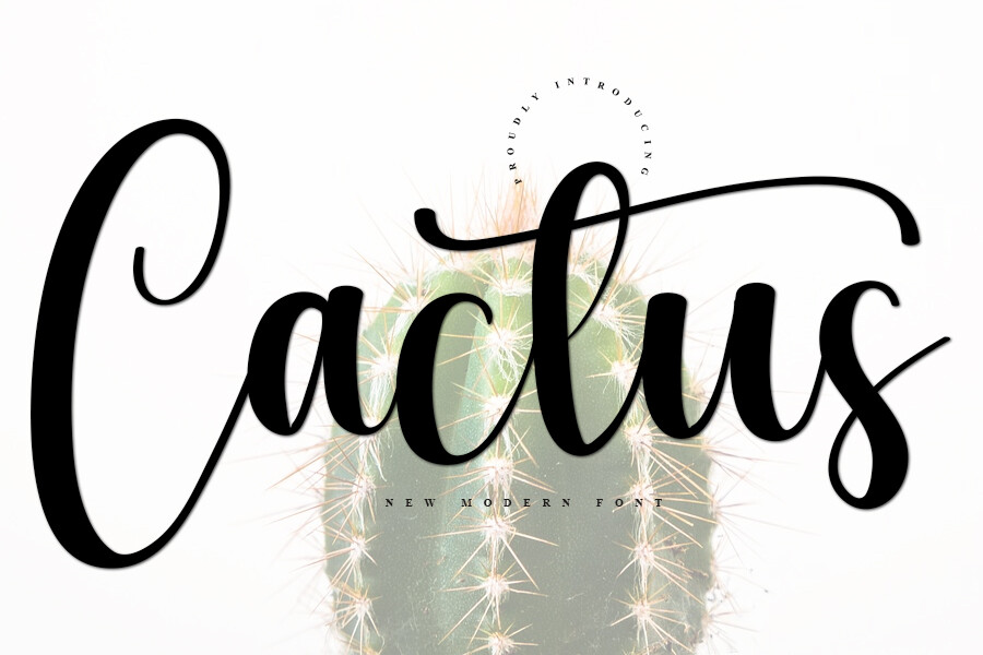 Cactus Font