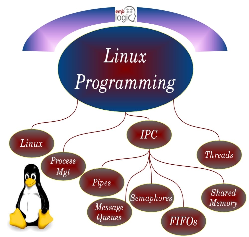 Linux System Programming Career