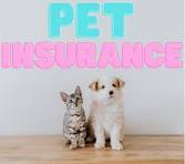 The Importance of Pet Insurance Services: Safeguarding Your Pet’s Health and Your Finances