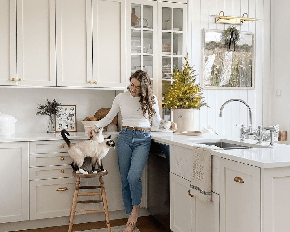 Expert Guidance On Using Ikea Custom Kitchen Cabinets For Budget-friendly Kitchen Makeovers