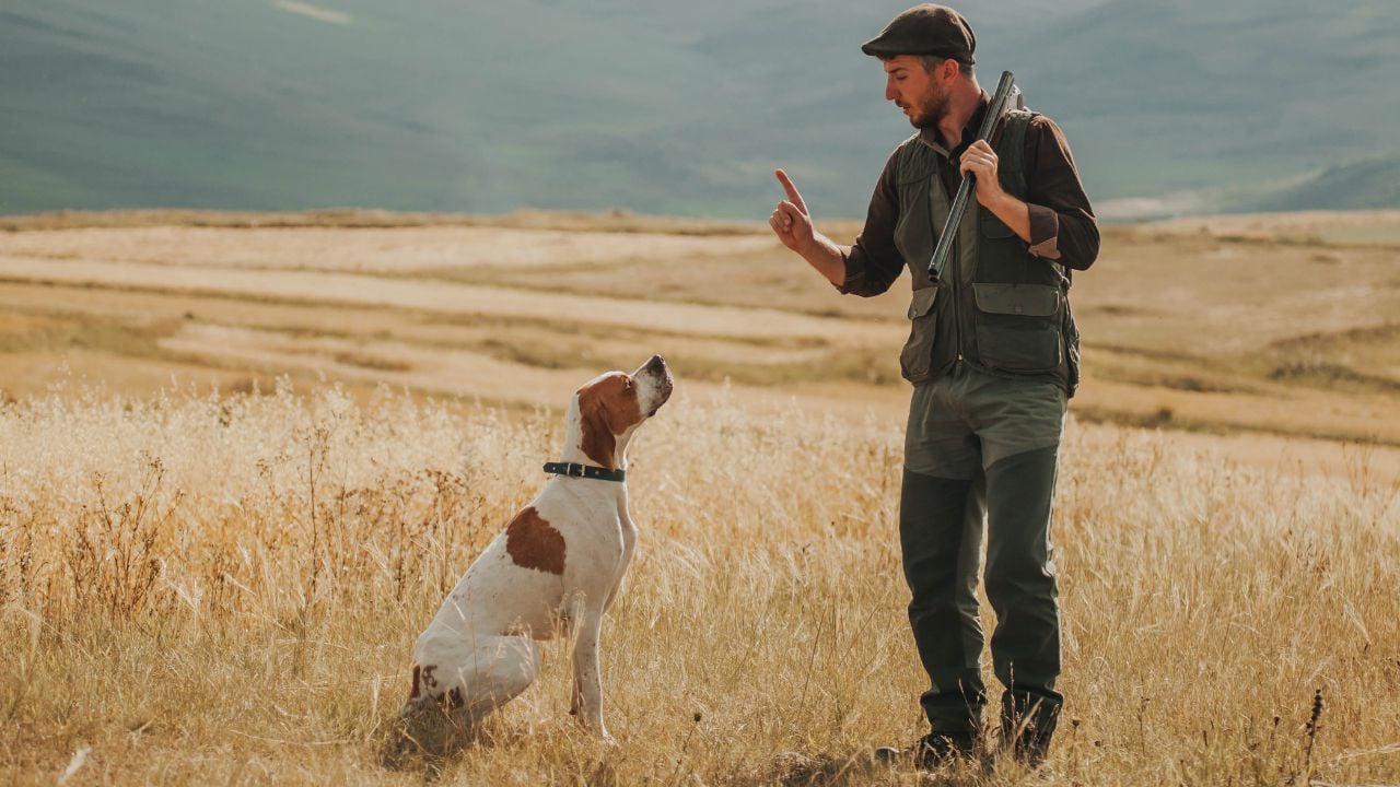 sahibi av köpeğine ismini söylüyor