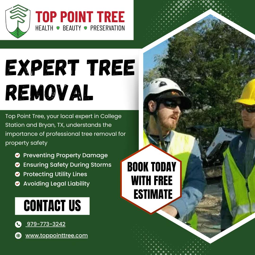 Tree removal services near Bryan tx