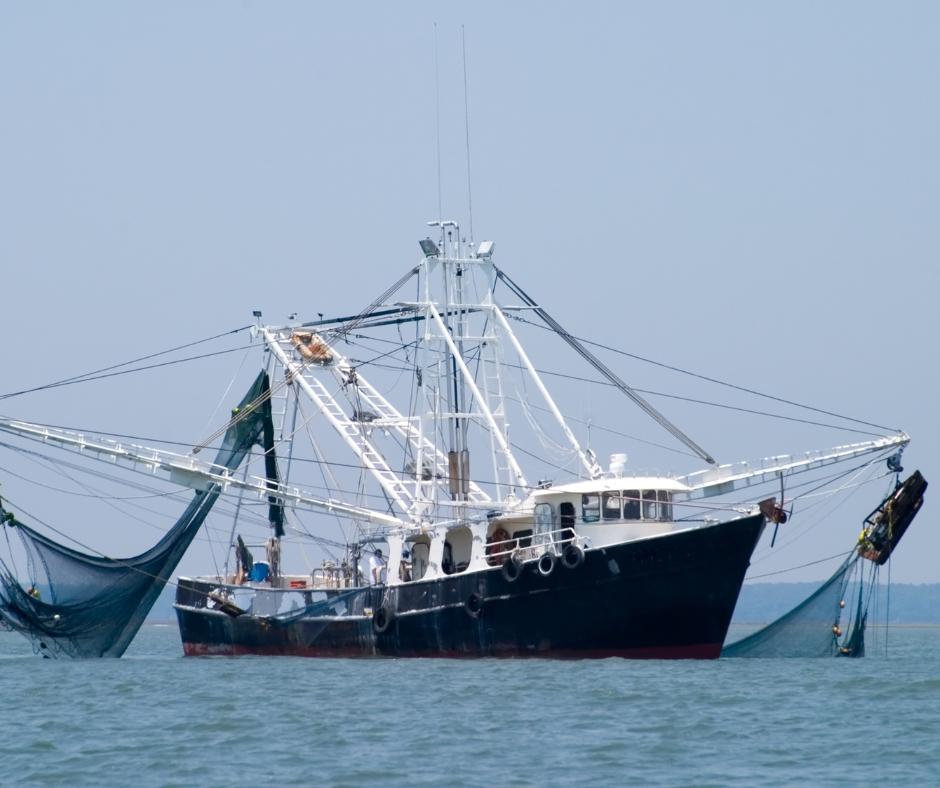 Knotted Nylon Netting Innovations Transforming the World of Big Fishing Nets