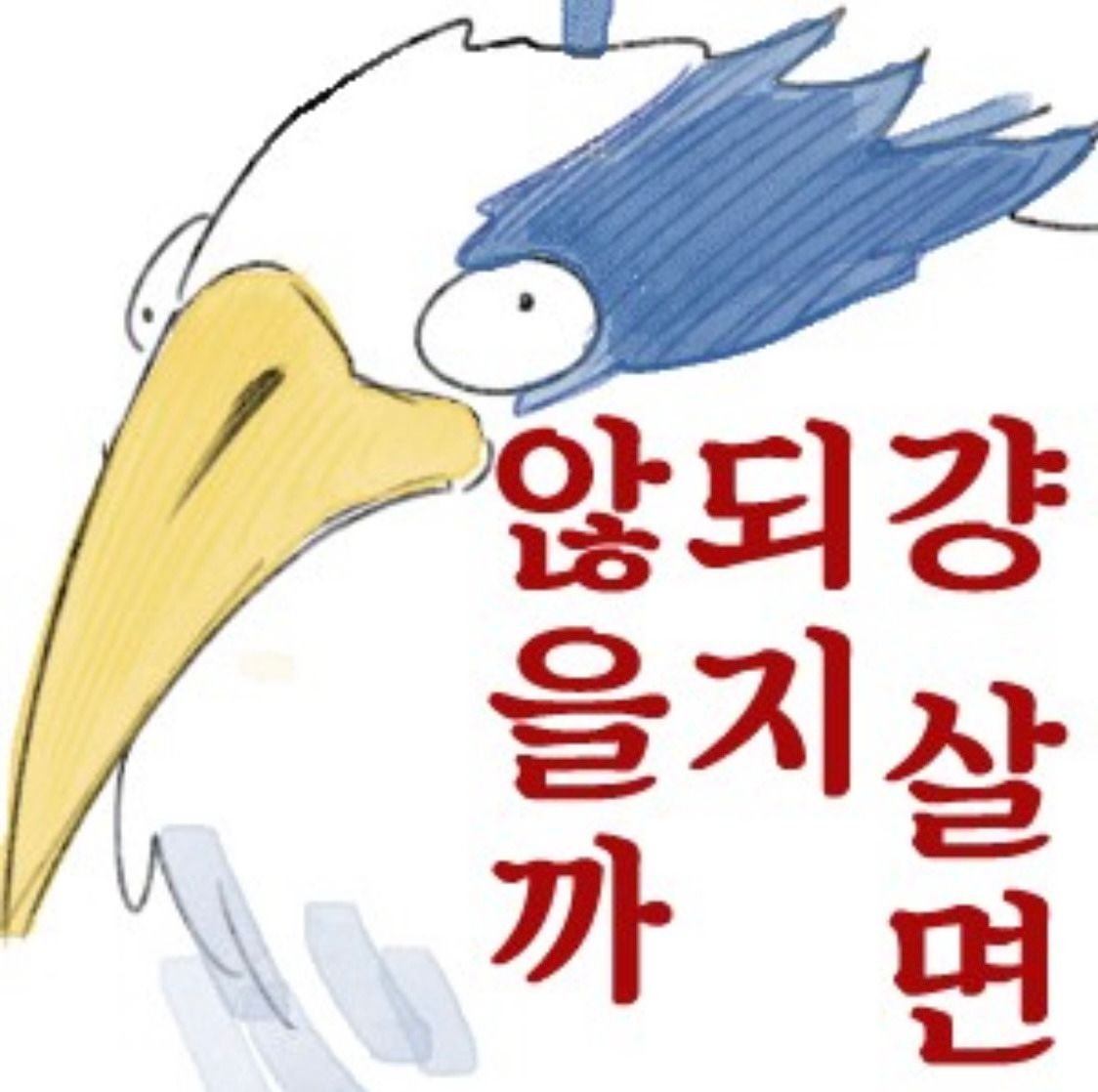 11월 28일