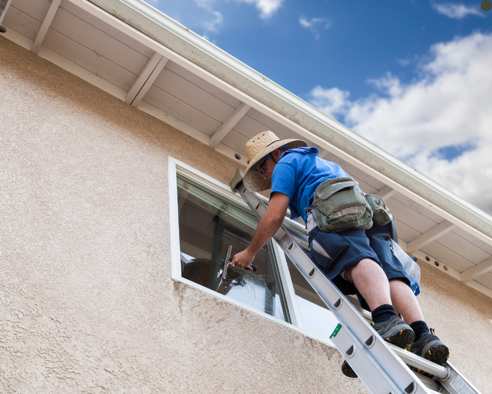 Explore These Unique Window Cleaning Services for Your Home or Business