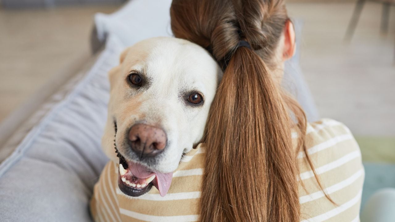 köpek ve insan sarılıyor