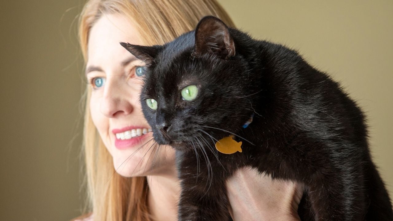 kedi ve insan