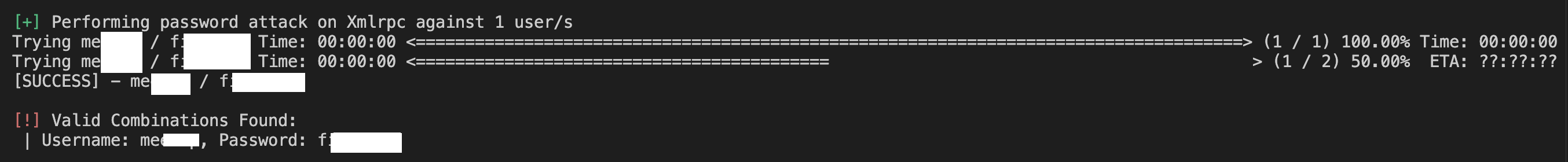 Password testing output