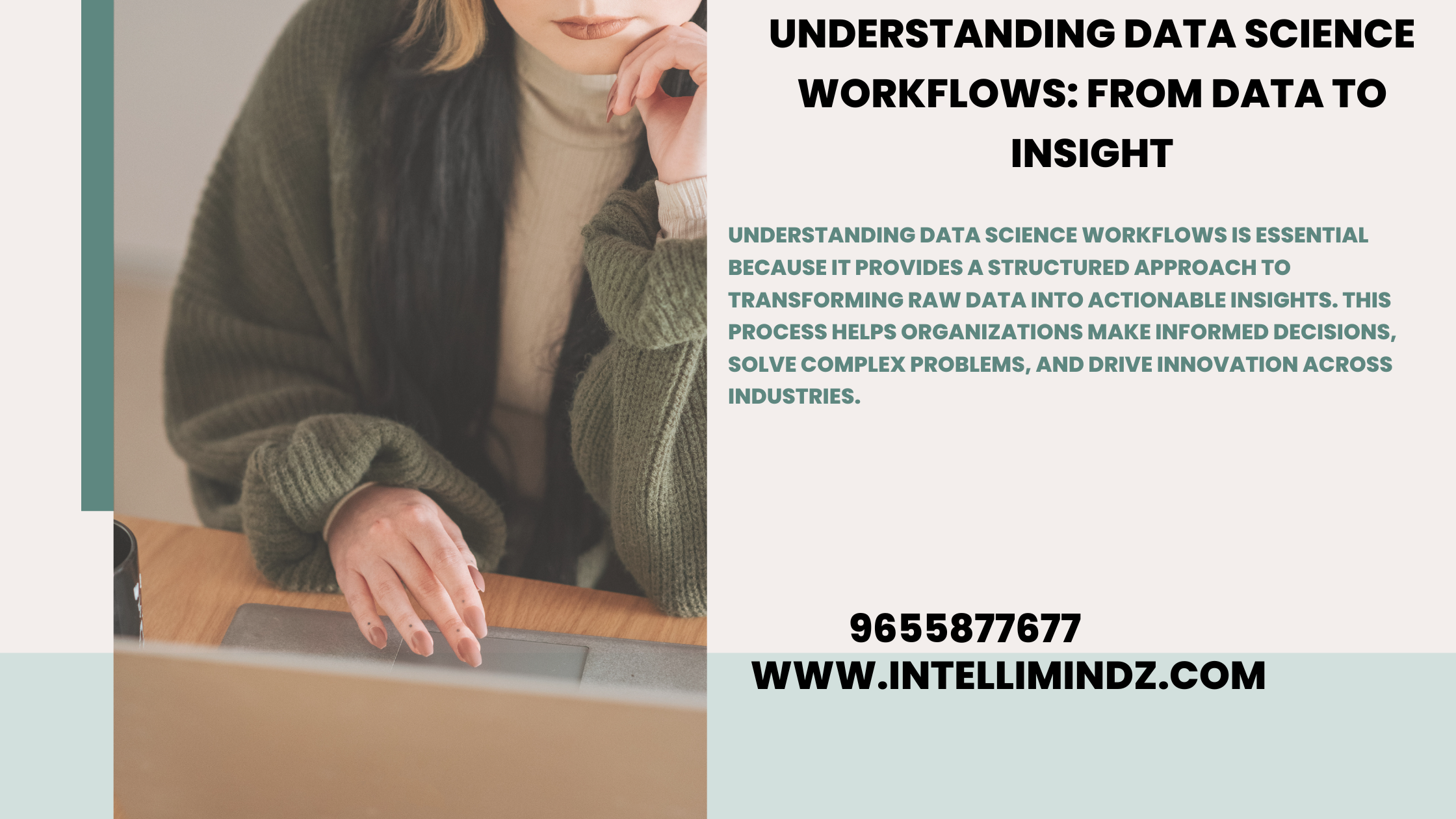 Understanding Data Science Workflows: From Data to Insight"