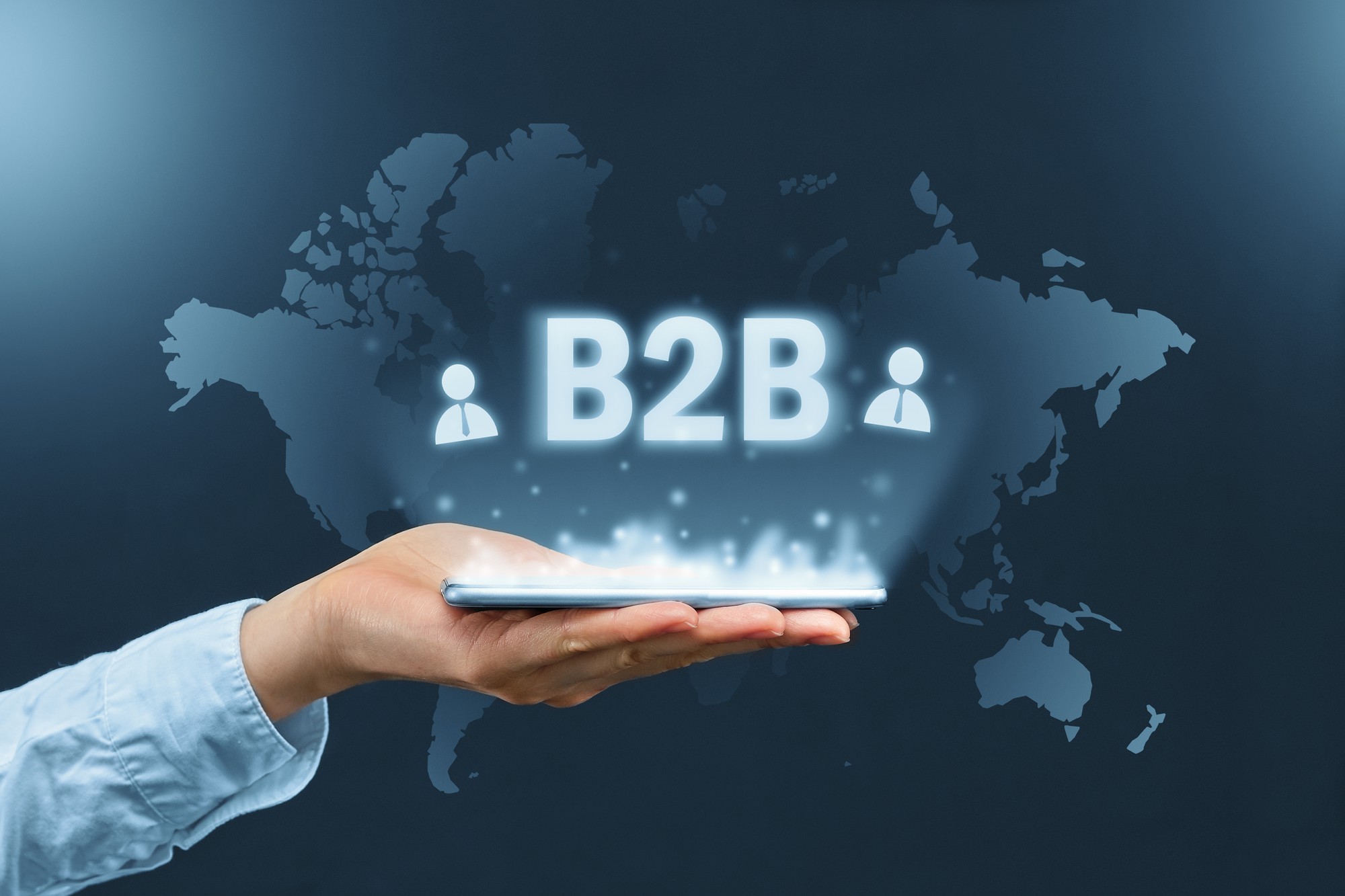 Top Strategies to Maximize Business Growth with B2B Loyalty Schemes