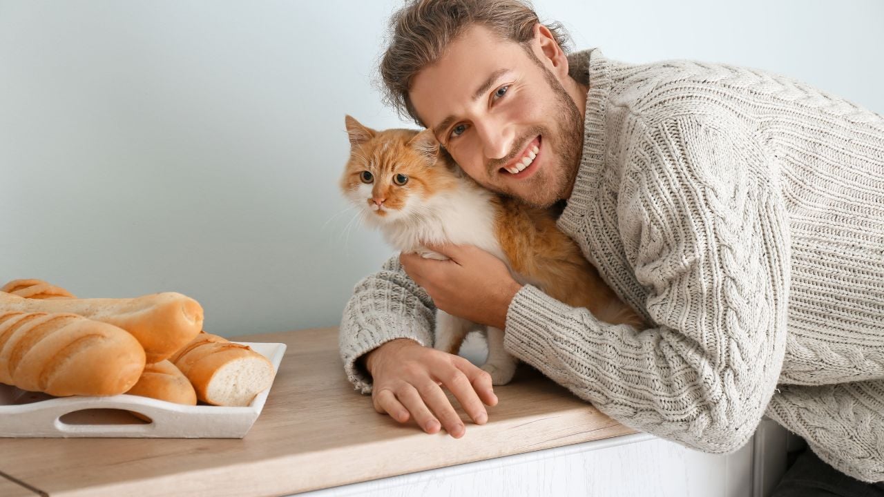 kedi ve insan yan yana