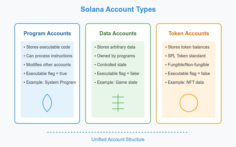 Comparison diagram of three Solana account types arranged horizontally. Left: Program Accounts (blue) showing executable code properties. Center: Data Accounts (green) showing data storage capabilities. Right: Token Accounts (orange) showing token-related features. Each type includes specific characteristics and an iconic representation. Connected by a dashed line labeled 'Unified Account Structure' at the bottom.