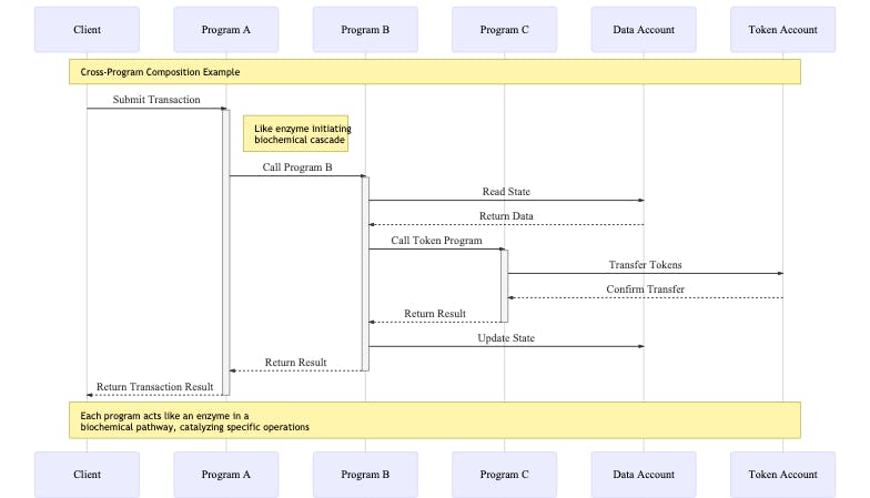 Sequence diagram showing interaction between Client, Program A, Program B, Program C, Data Account, and Token Account. Arrows indicate the flow of calls and returns, with notes comparing the process to biochemical cascades. Shows how programs can call other programs and interact with various account types.