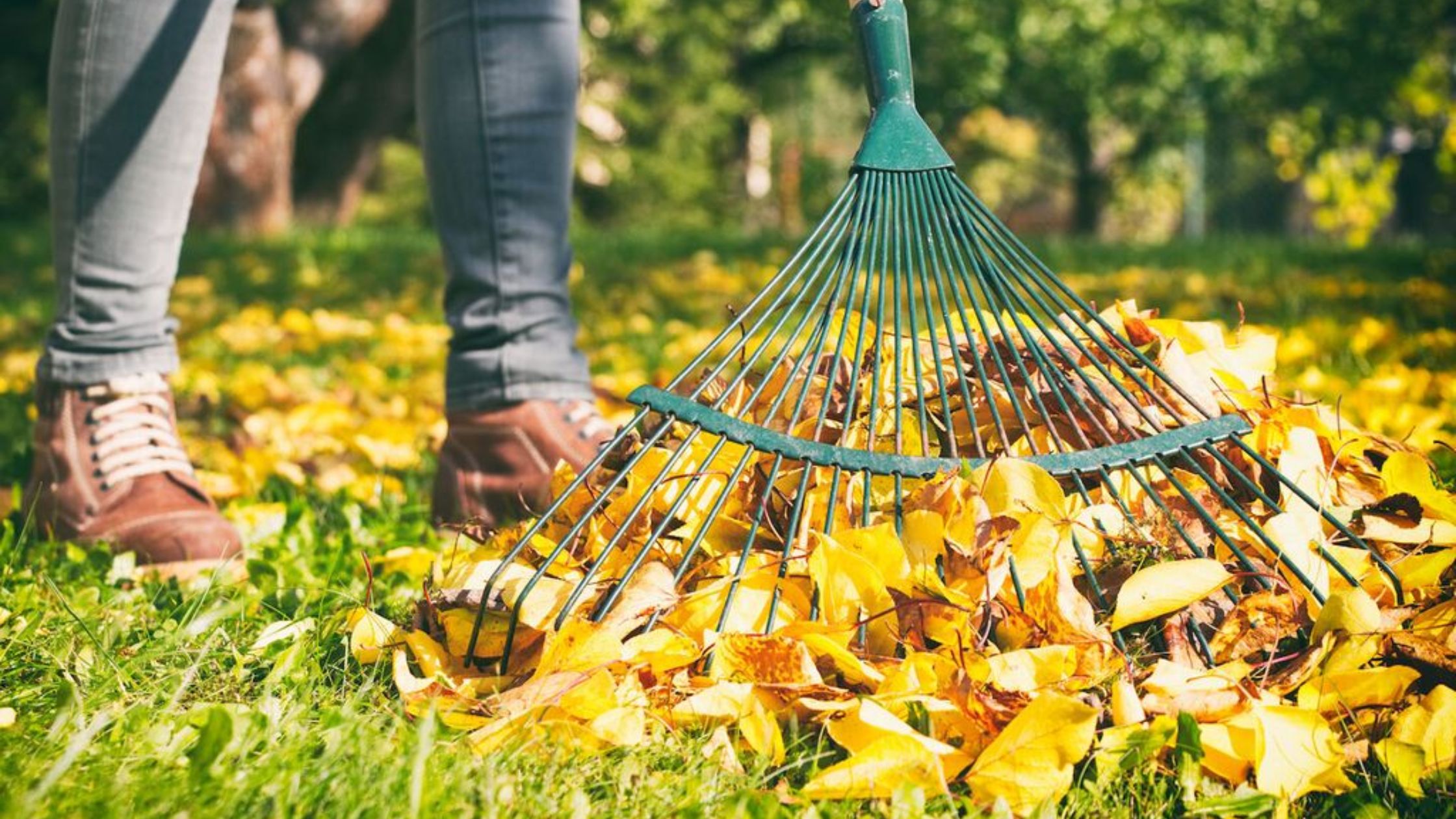 Get Custom Landscaping Fall Cleanup Services Tailored to Your Needs