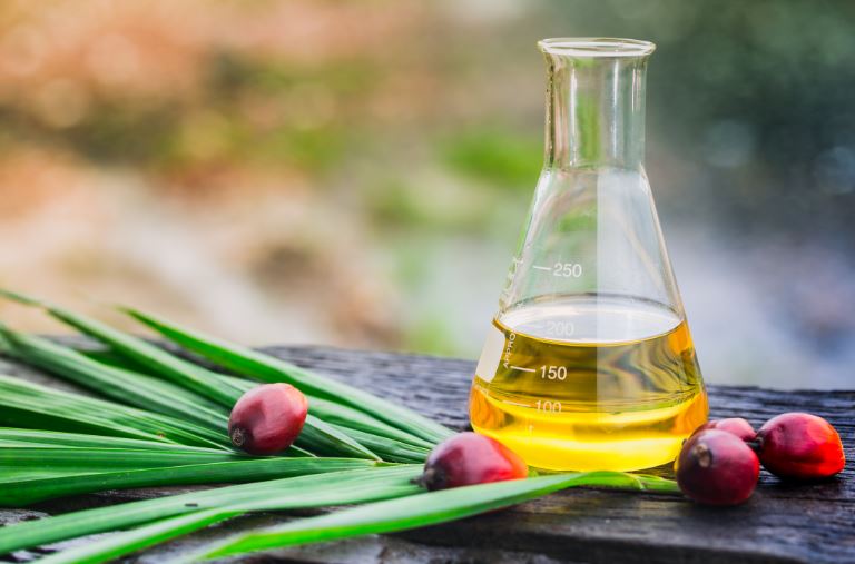 Palm Kernel Oil Prices, Chart, News, Monitor and Forecast | IMARC Group