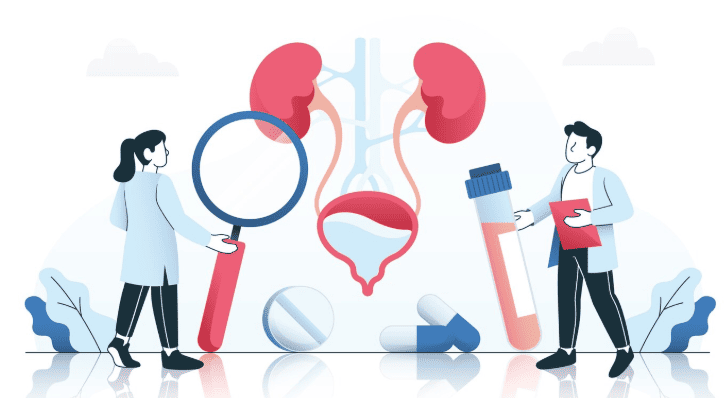 Bladder system